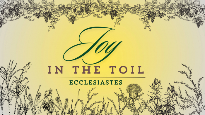Joy in the Toil Series Thumbnail